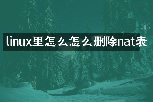 linux里怎么怎么删除nat表