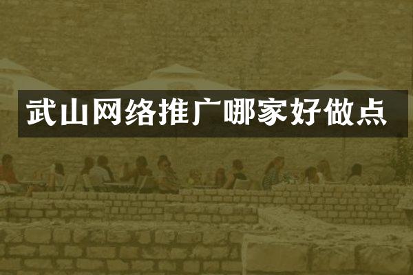 武山网络推广哪家好做点