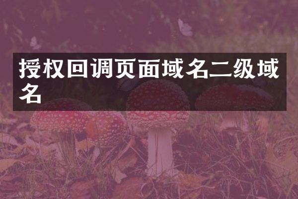 授权回调页面域名二级域名
