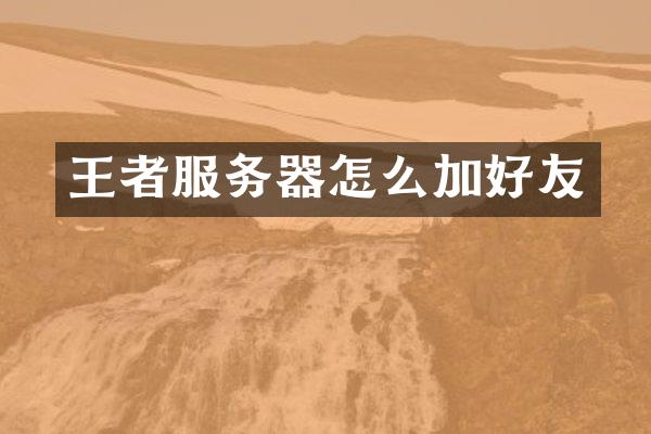 王者服务器怎么加好友