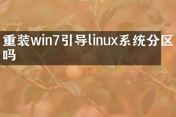 重装win7引导linux系统分区吗