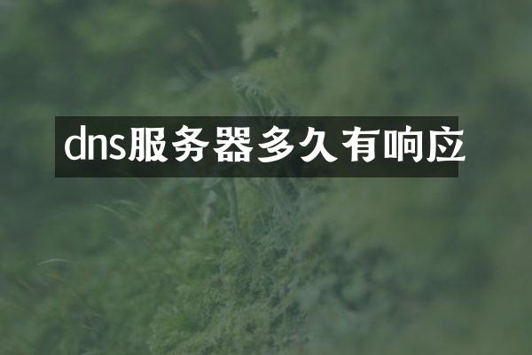 dns服务器多久有响应