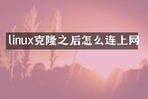 linux克隆之后怎么连上网