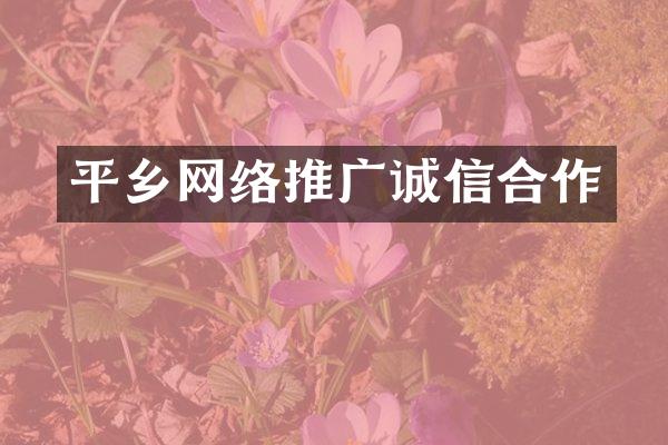 平乡网络推广诚信合作