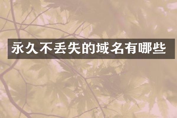 永久不丢失的域名有哪些