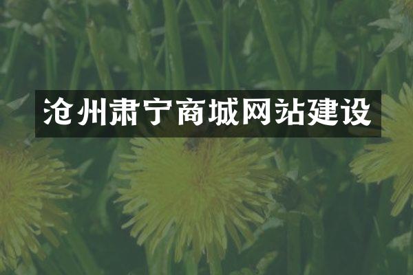 沧州肃宁商城网站建设