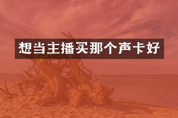 想当主播买那个声卡好