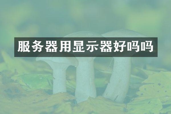 服务器用显示器好吗吗