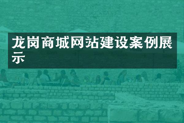 龙岗商城网站建设案例展示
