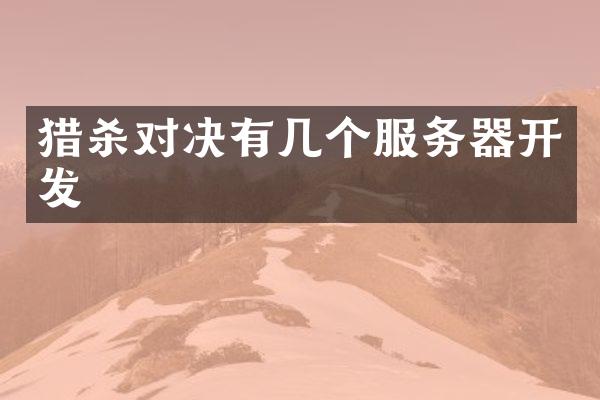 猎杀对决有几个服务器开发