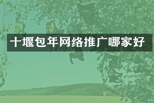 十堰包年网络推广哪家好