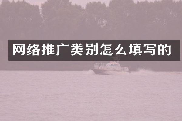 网络推广类别怎么填写的