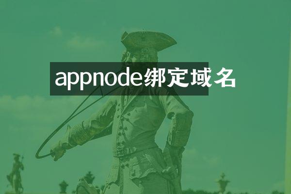 appnode绑定域名