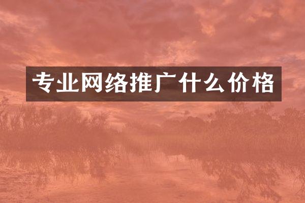 专业网络推广什么价格