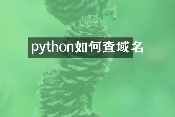 python如何查域名