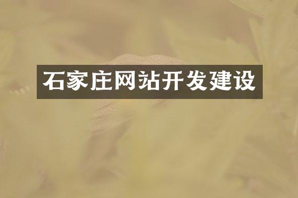 石家庄网站开发建设