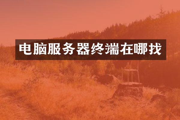 电脑服务器终端在哪找