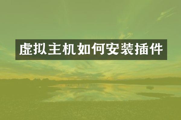 虚拟主机如何安装插件