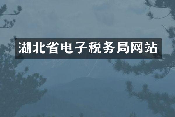 湖北省电子税务局网站