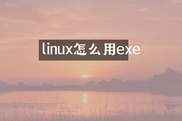 linux怎么用exe