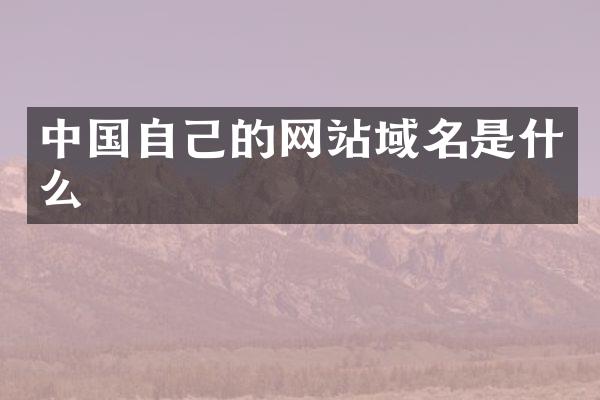中国自己的网站域名是什么