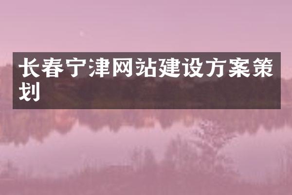 长春宁津网站建设方案策划
