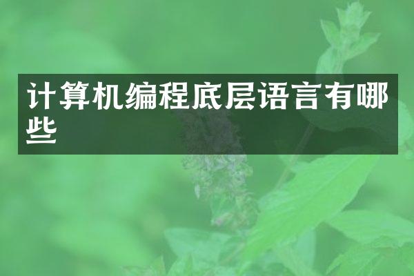 计算机编程底层语言有哪些