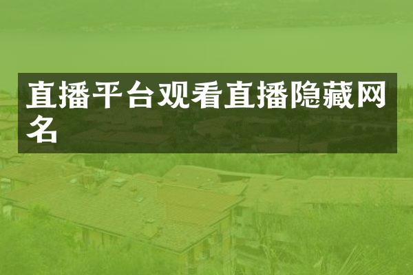 直播平台观看直播隐藏网名