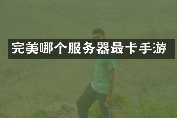 完美哪个服务器最卡手游
