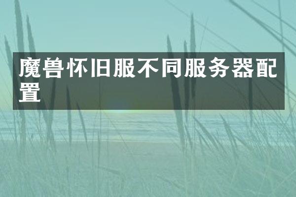 魔兽怀旧服不同服务器配置