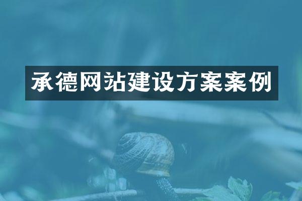 承德网站建设方案案例