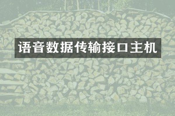 语音数据传输接口主机