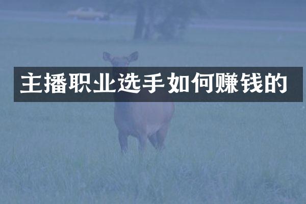 主播职业选手如何赚钱的
