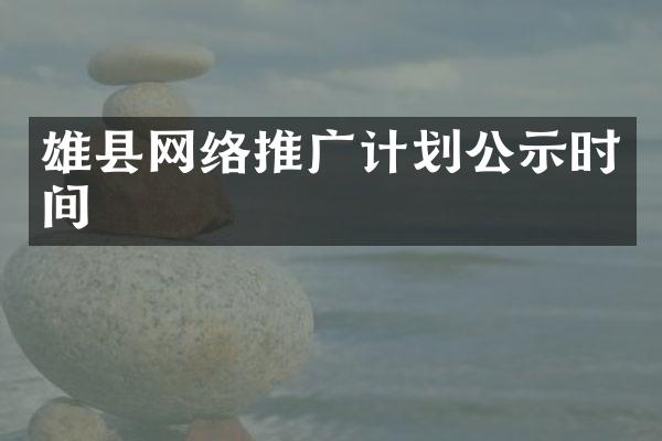 雄县网络推广计划公示时间