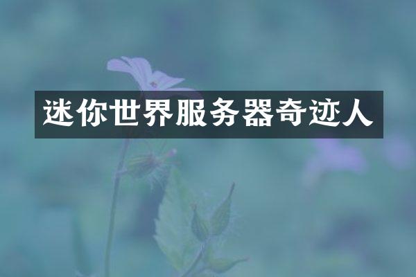 迷你世界服务器奇迹人