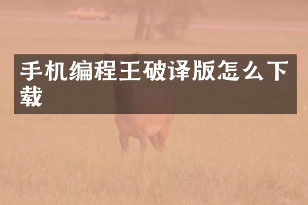 手机编程王破译版怎么下载