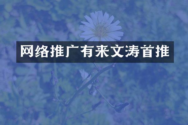 网络推广有来文涛首推
