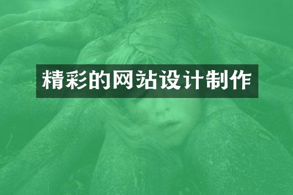 精彩的网站设计制作