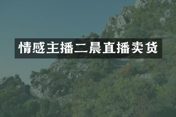 情感主播二晨直播卖货