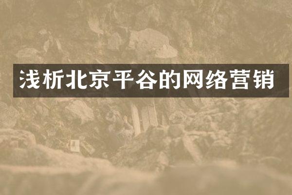 浅析北京平谷的网络营销