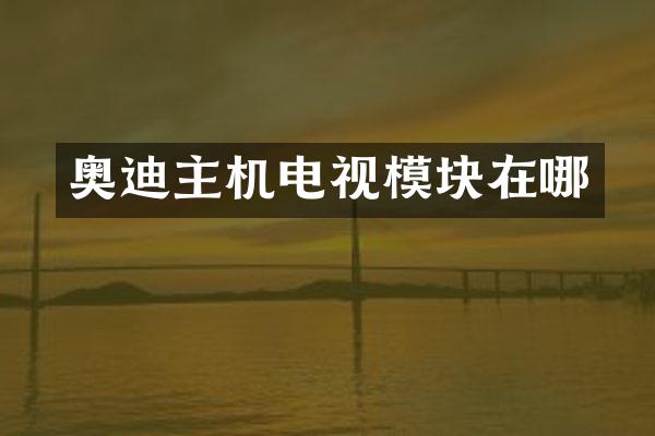 奥迪主机电视模块在哪