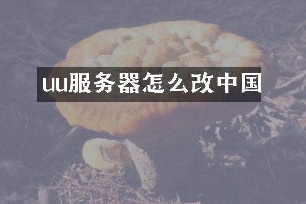 uu服务器怎么改中国