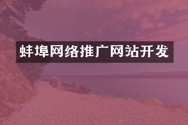 蚌埠网络推广网站开发