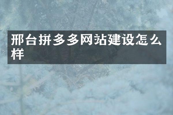 邢台拼多多网站建设怎么样