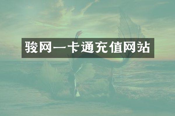 骏网一卡通充值网站
