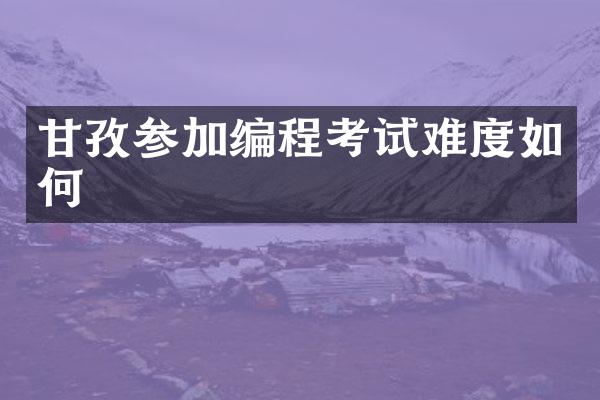 甘孜参加编程考试难度如何