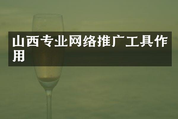 山西专业网络推广工具作用