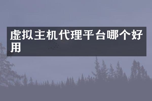 虚拟主机代理平台哪个好用