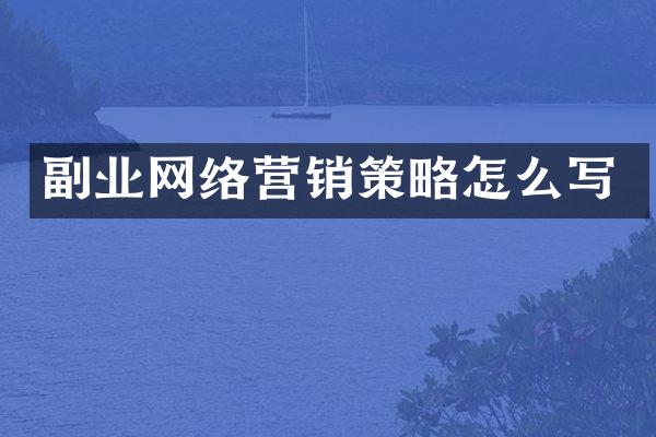 副业网络营销策略怎么写