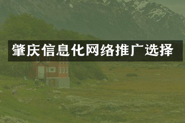 肇庆信息化网络推广选择